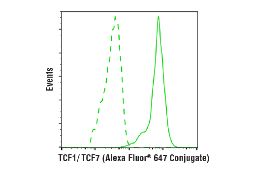 TCF1/TCF7 (C63D9) Rabbit mAb (Alexa Fluor 647 Conjugate)