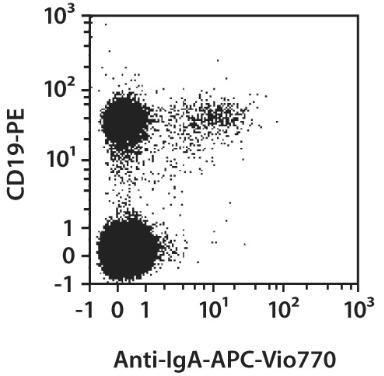 Anti-IgA-APC-Vio770, h, IS11-8E10, 100 t