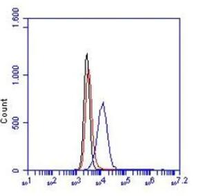Anti-F4/80 antibody [BM8]
