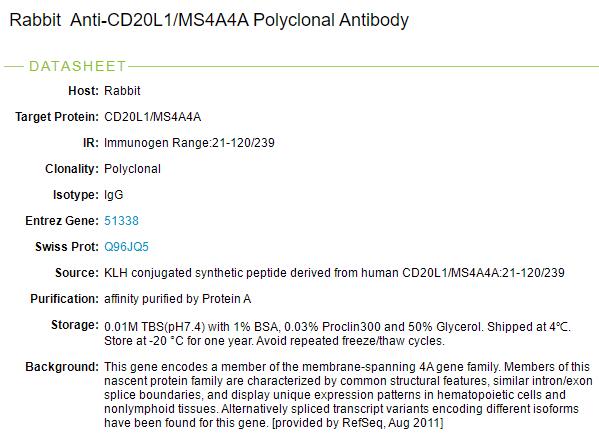 CD20样蛋白1抗体