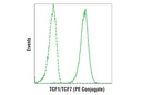 TCF1/TCF7 (C63D9) Rabbit mAb (PE Conjugate)