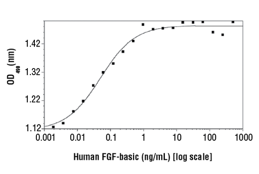 [003.61977S] Human Basic Fibroblast Growth Factor (hFGF basic/FGF2) [10ug]