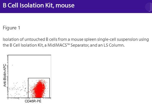[044.130-090-862] B Cell Isolation Kit, mouse [Kit]