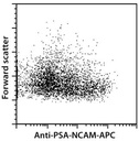 Anti-PSA-NCAM-APC, h, m, r, 2-2B, 100 t