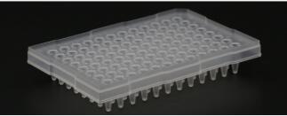 [155.MQ50501S] 96孔荧光定量PCR板，200 ul磨砂，半裙边，单切角（A12） [10/pk]