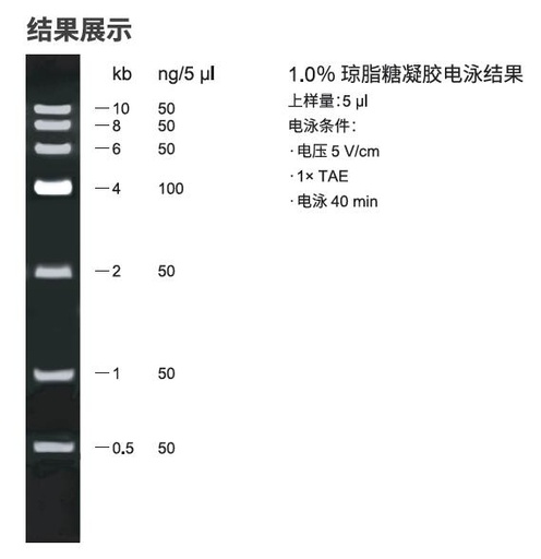 [155.ME40401M] 6kb  Plus DNA分子量标准 [5×500 ul]